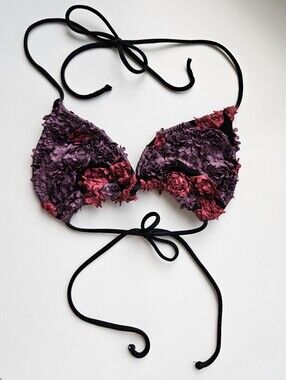 Ola Feroz Floral Applique In Rasberry And Purple Bikini Top